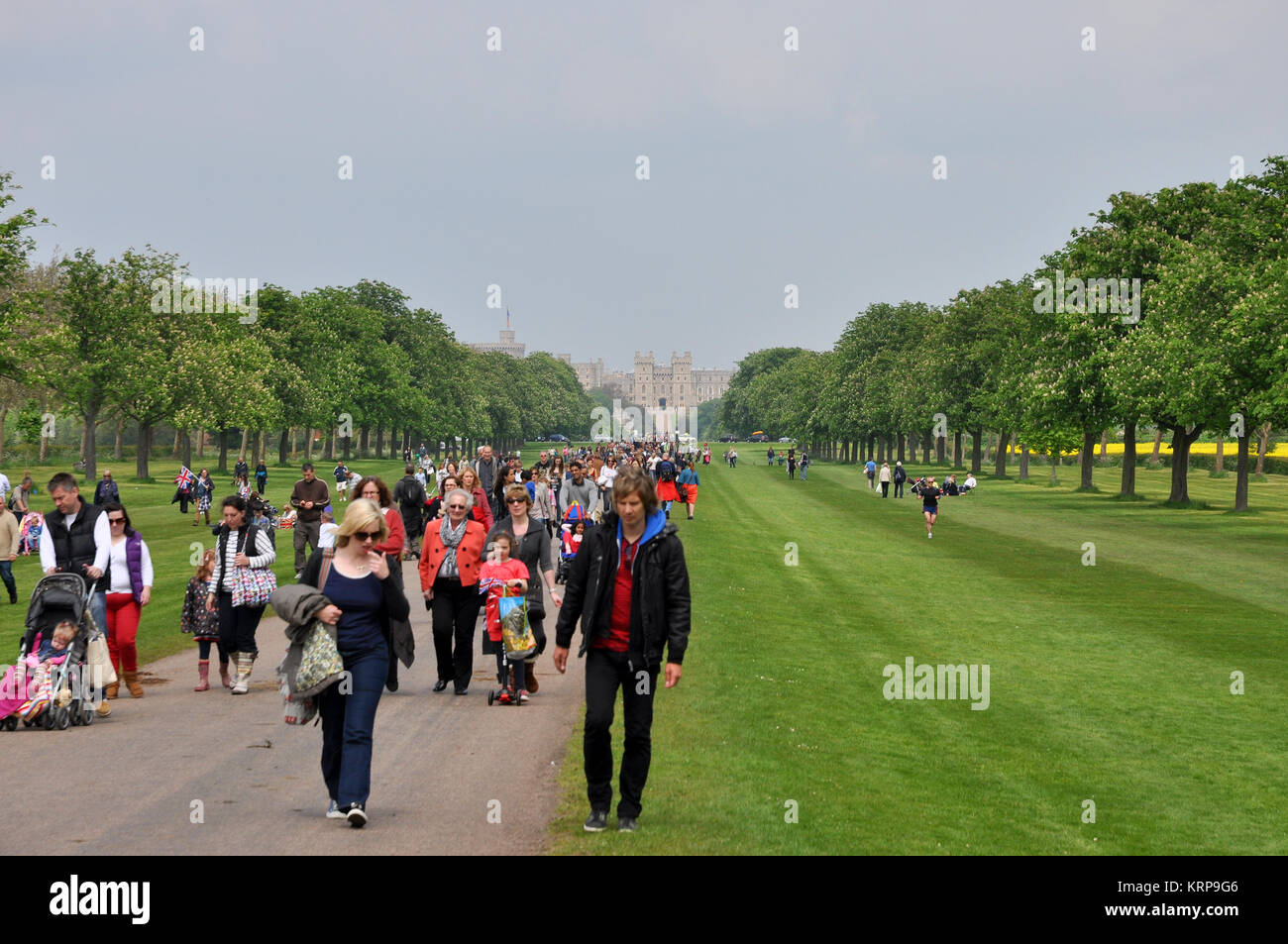 The Long Walk at Windsor Castle. Crowds of people walking along the Long Walk from Windsor