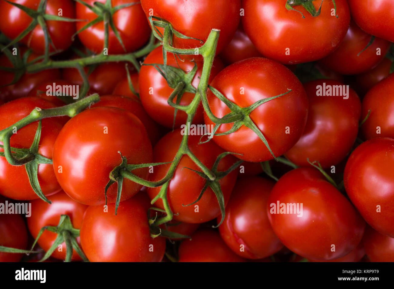 fresh tomatoes. red tomatoes background. Group of tomatoes Stock Photo ...