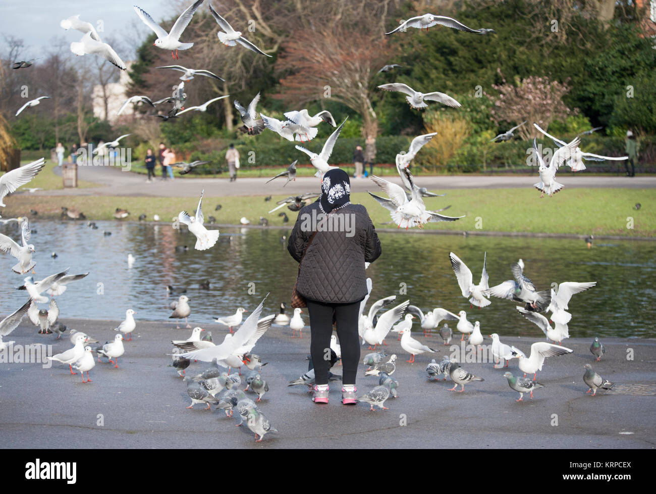 An elderly woman stands alone feeding birds in Regent's Park, London, United Kingdom Stock Photo