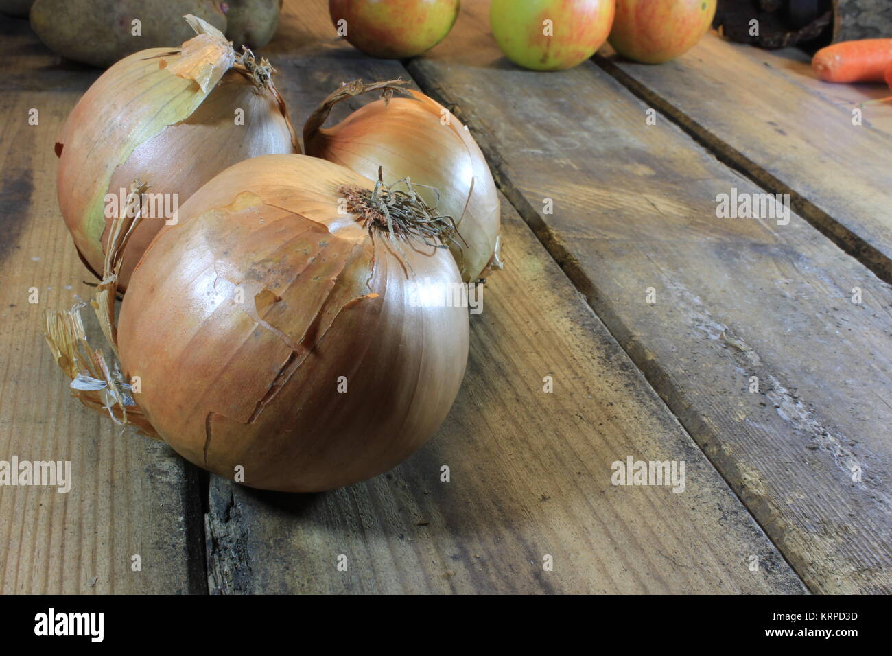 Harvest time for onion Stock Photo Alamy