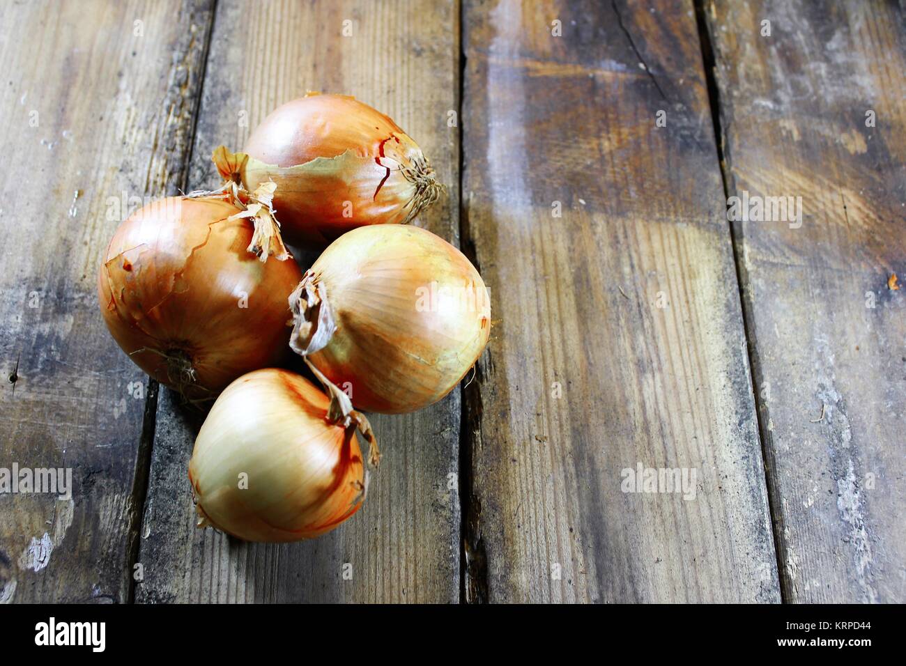 Harvest time for onion Stock Photo Alamy