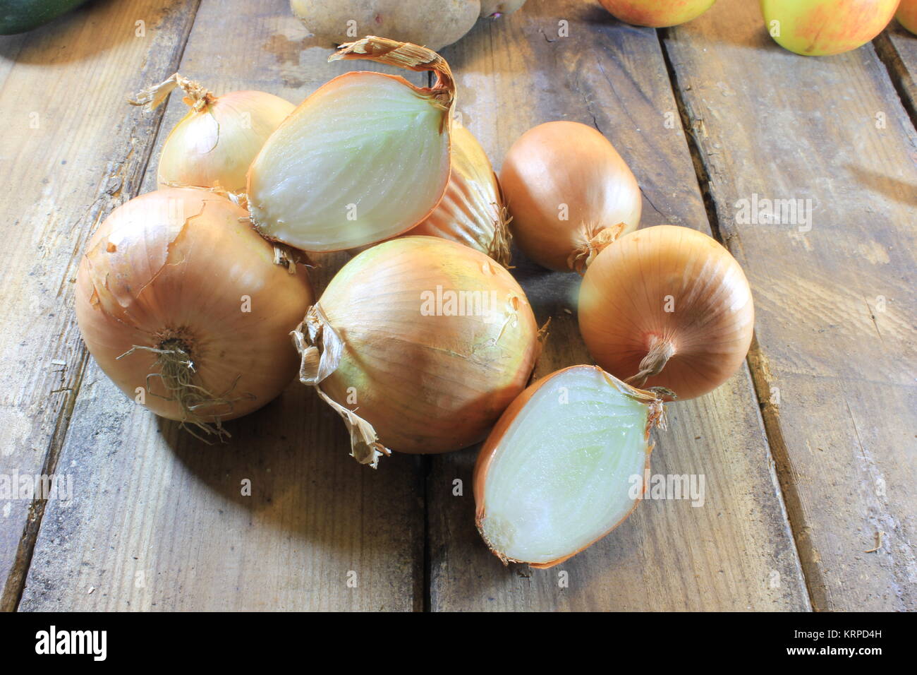 Harvest time for onion Stock Photo Alamy