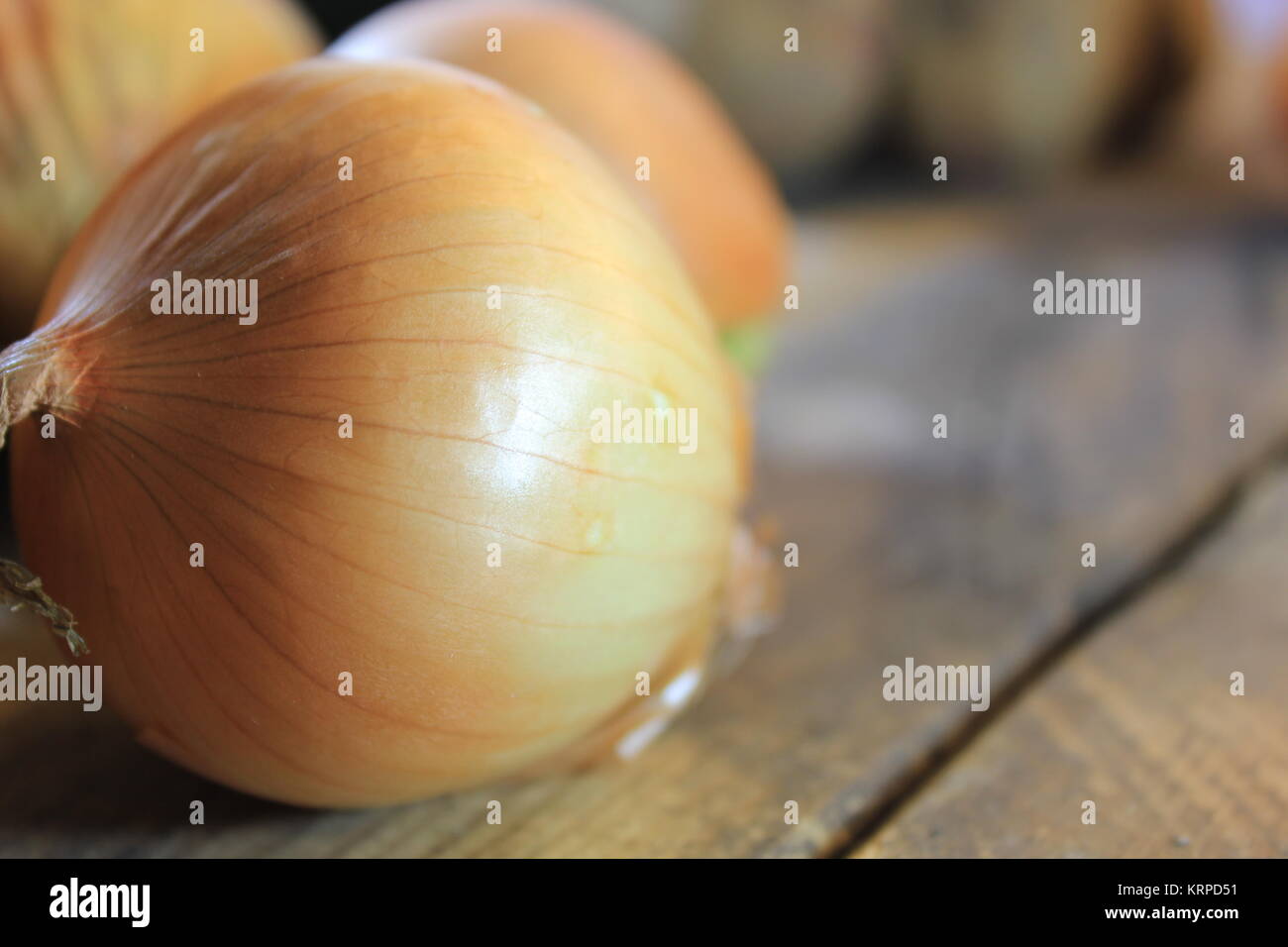Harvest time for onion Stock Photo Alamy