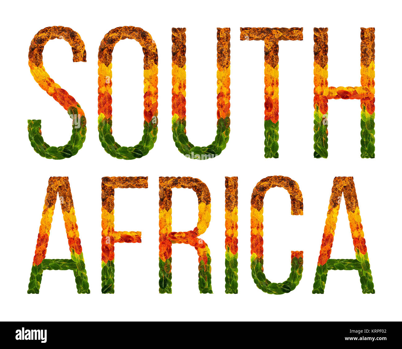 word south africa country is written with leaves on a white insulated