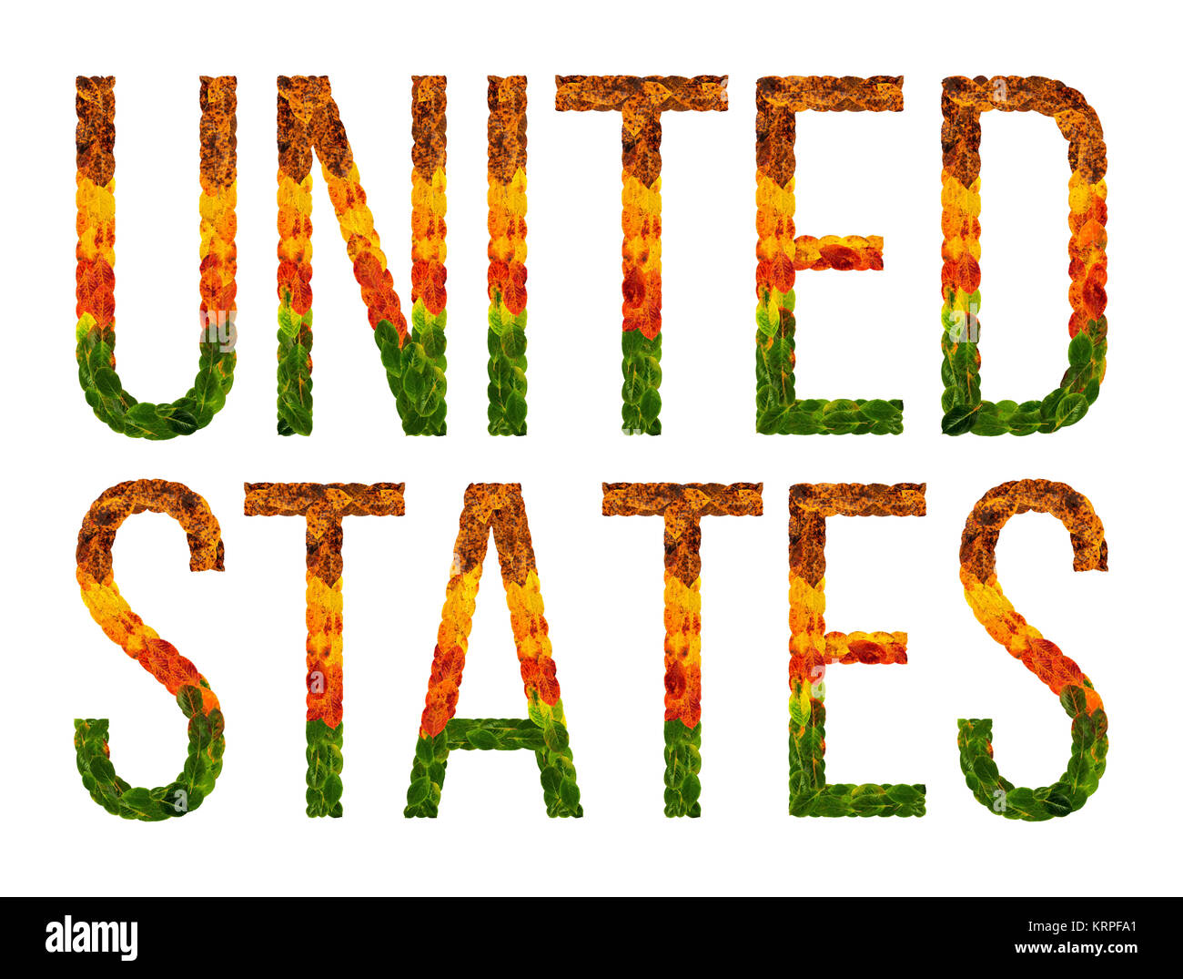 Word Us word united states country is written with leaves on a white insulated ...