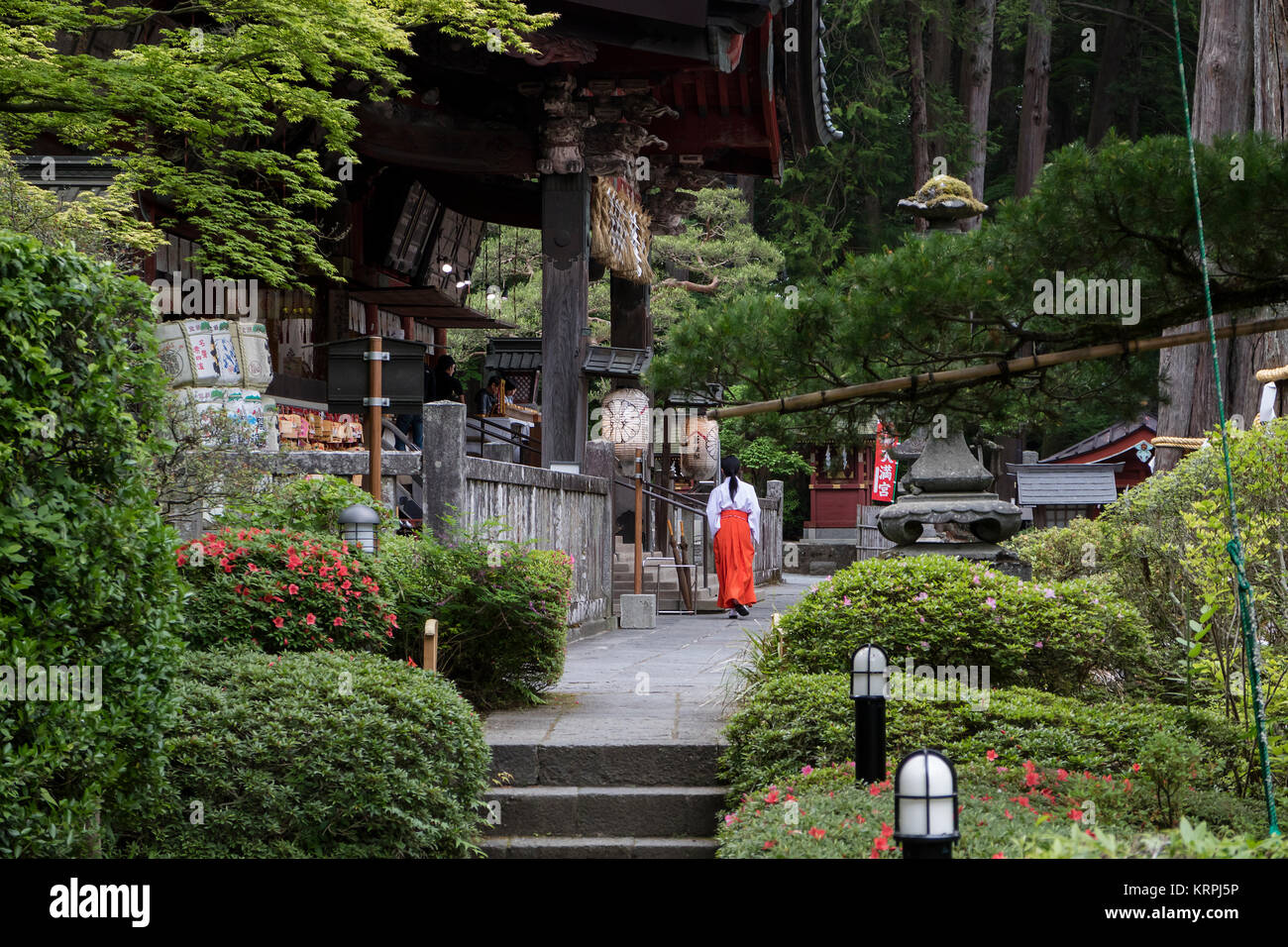 Fujiyoshida city - Japan, June 13, 2017: Miko, shrine maiden, is passing by the Fujiyoshida Sengen Shrine in Fujiyoshida c Stock Photo