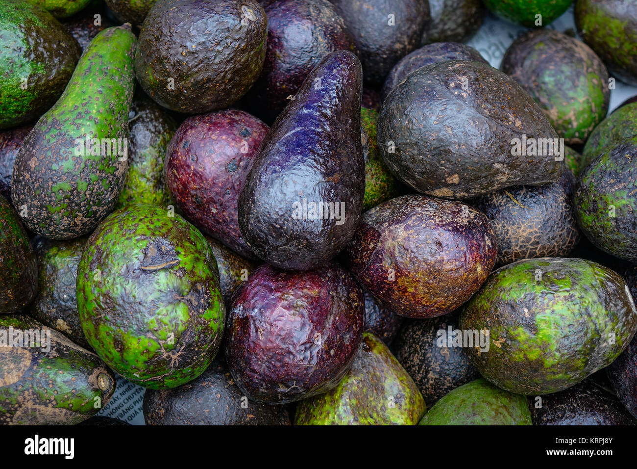 Avocado fruits at local market in Mekong Delta, Vietnam Stock Photo Alamy