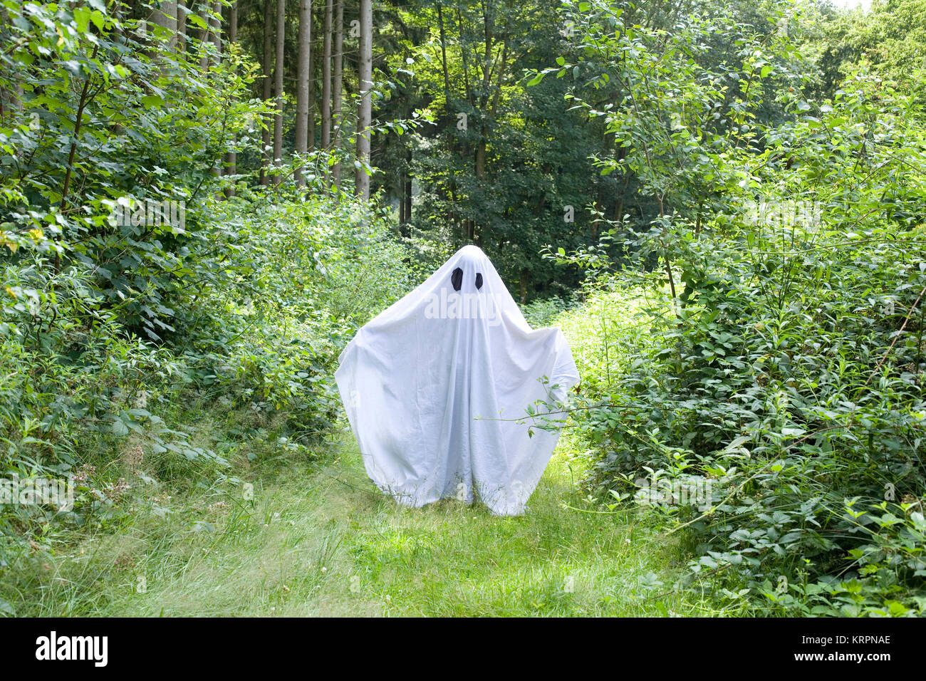 Ghost sheet forest hi-res stock photography and images - Alamy