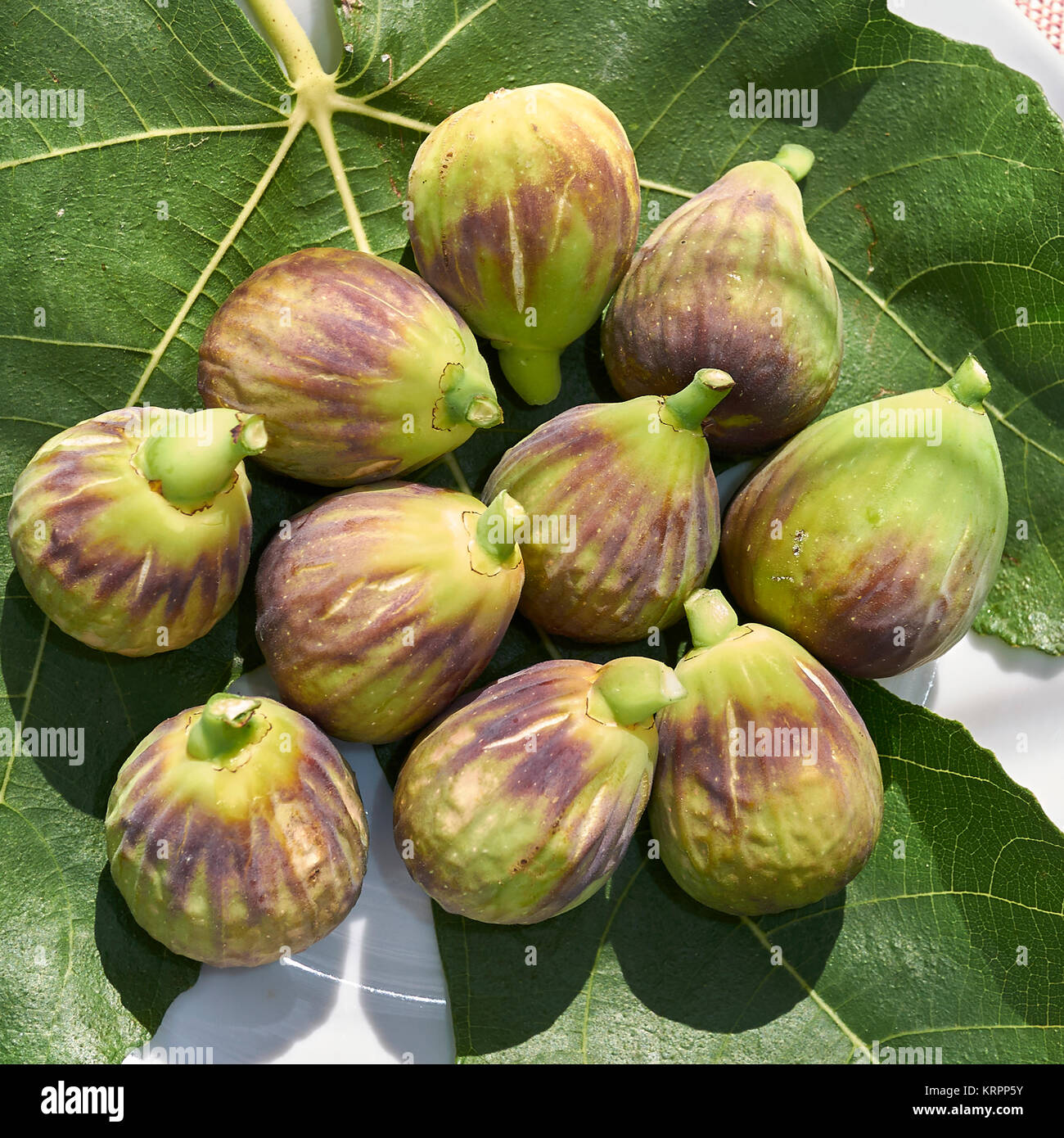 figs Stock Photo