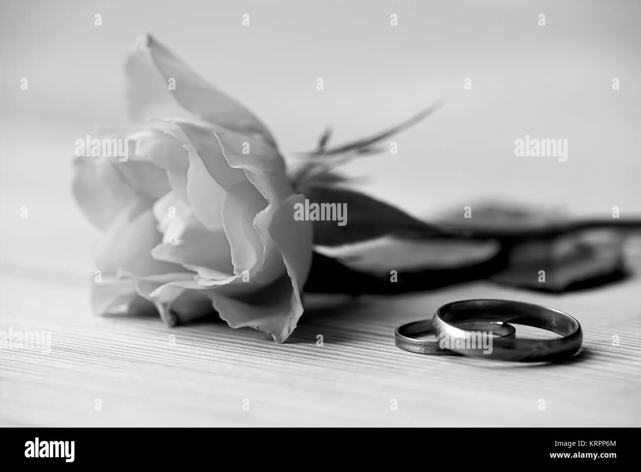 rose and wedding rings lie on a table Stock Photo