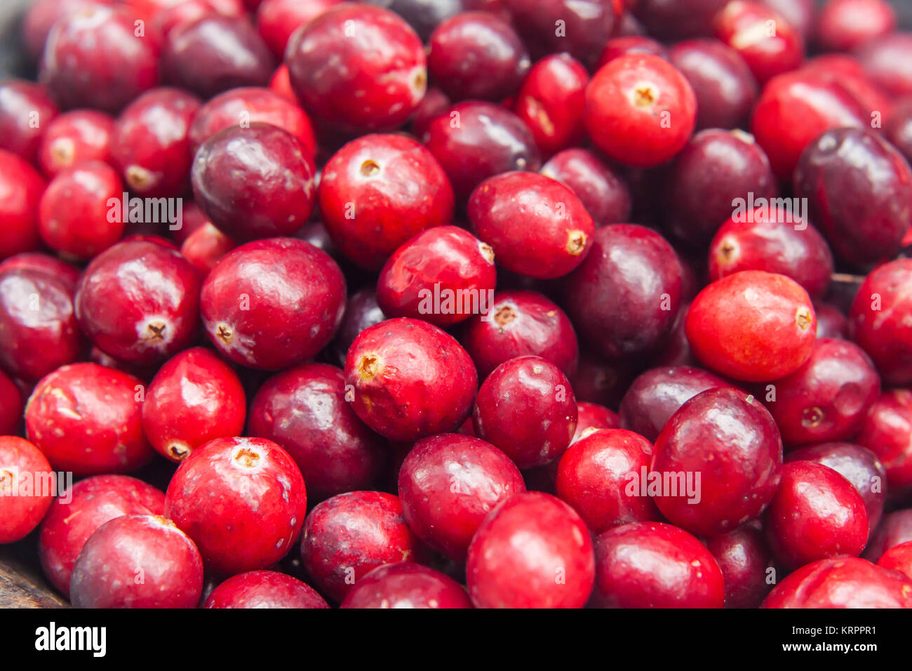 Fresh cranberries Superfood Background Stock Photo Alamy