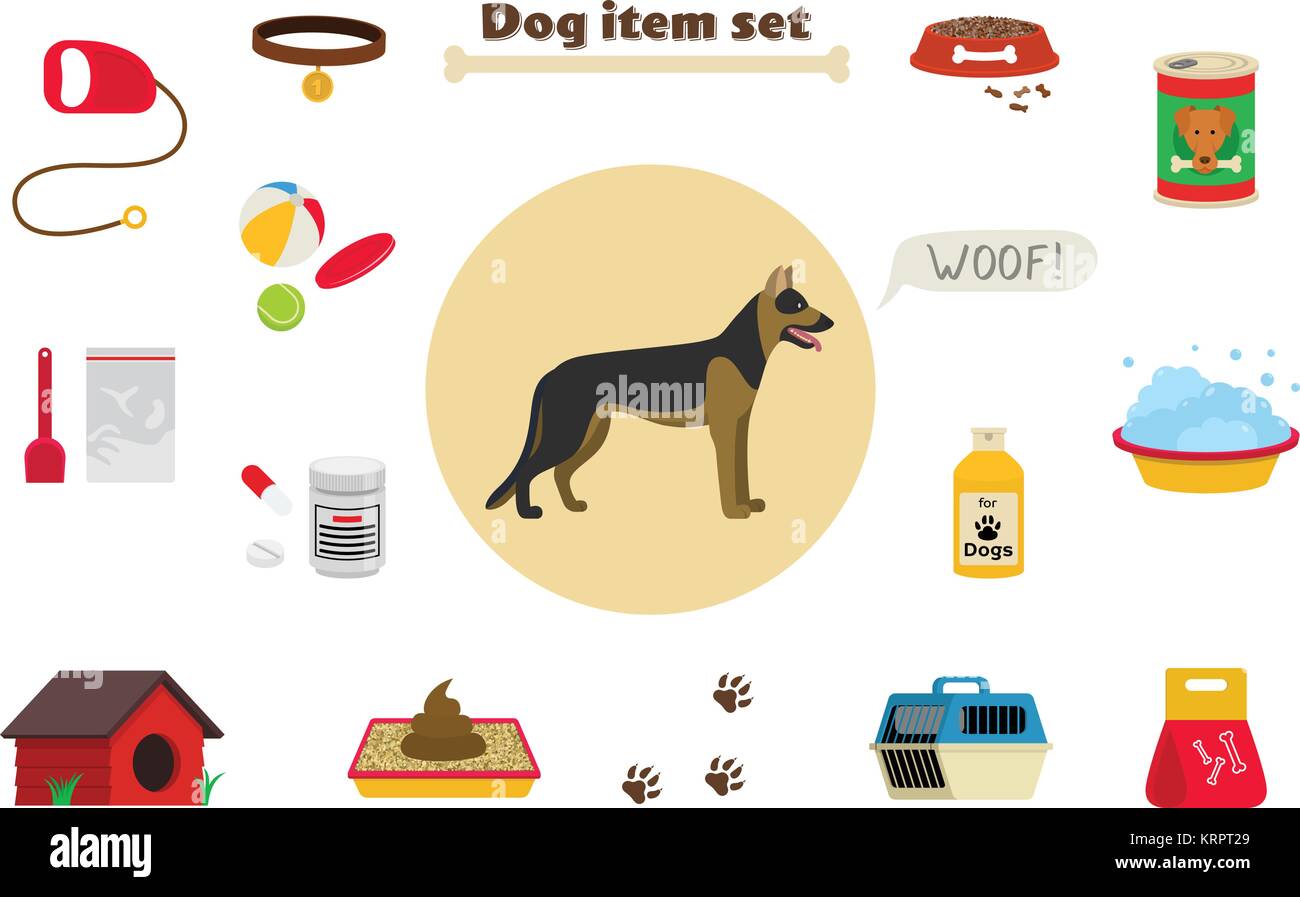 Dog items set care object and stuff. Elements around the dog. Vector cartoon illustration with food, care stuff, kennel, collar, transportation and do Stock Vector