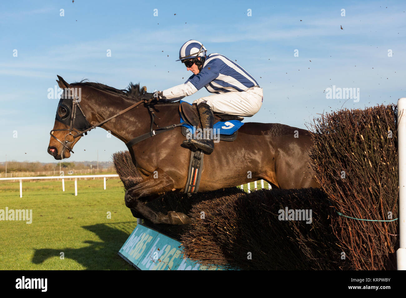 Kit Casey (ridden by Adam Wedge) jumps a fence in a race at Ffos Las Stock Photo