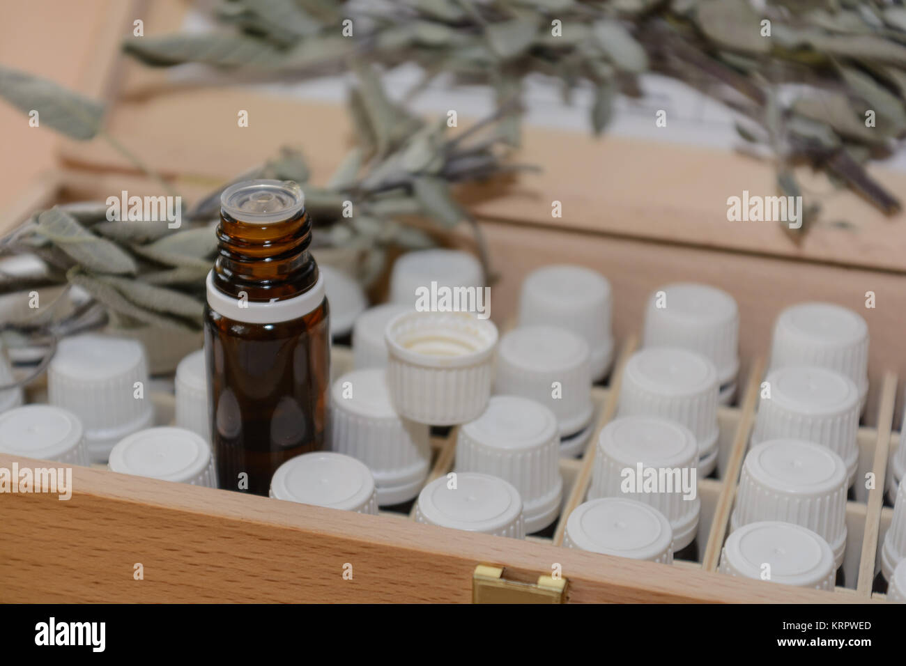 einige Glasfläschchen in einer Holzbox, dahinter Salbei - Nahaufnahme Stock Photo