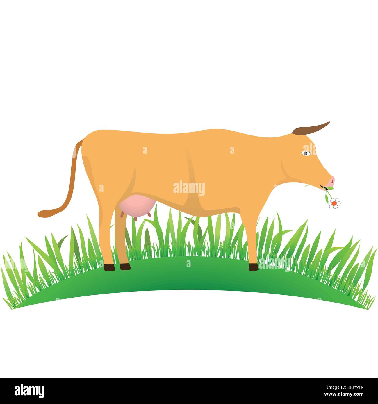 Illustration cow on the lawn on white background Stock Vector Image ...
