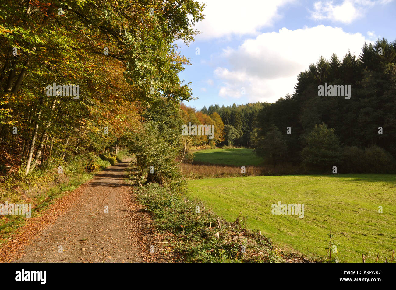autumn colors in nature Stock Photo - Alamy