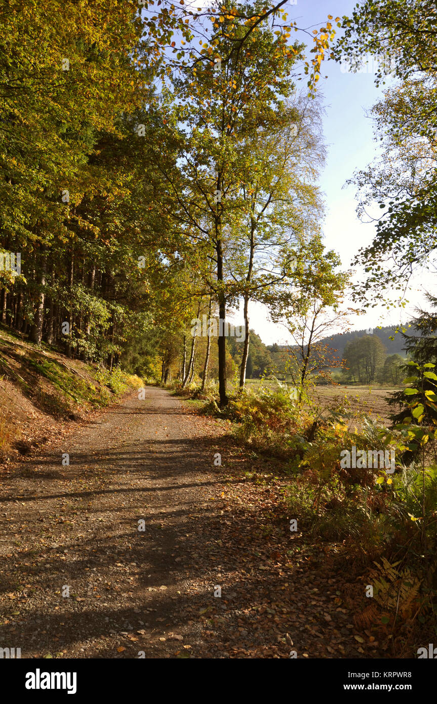 autumn colors in nature Stock Photo - Alamy