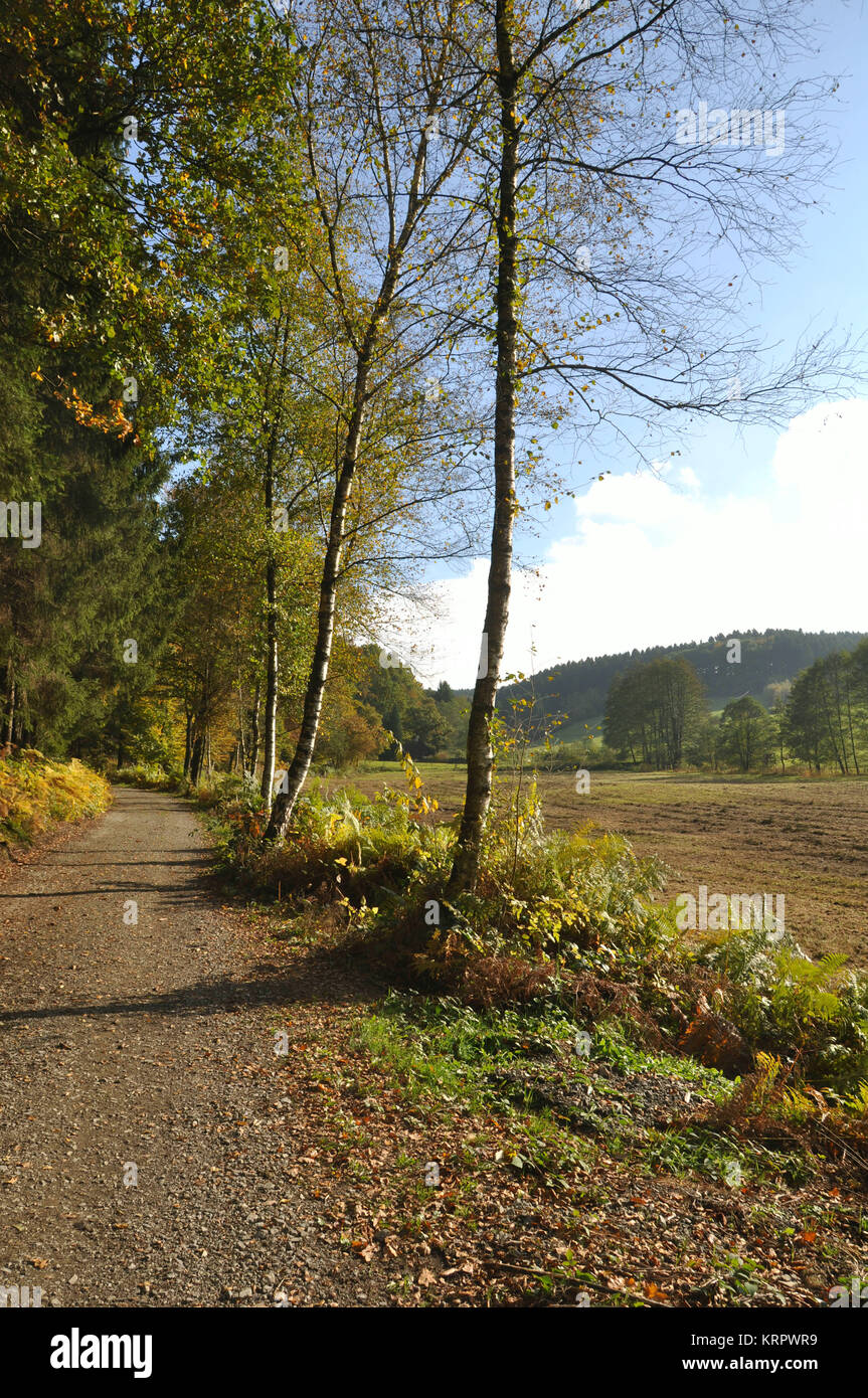 autumn colors in nature Stock Photo - Alamy