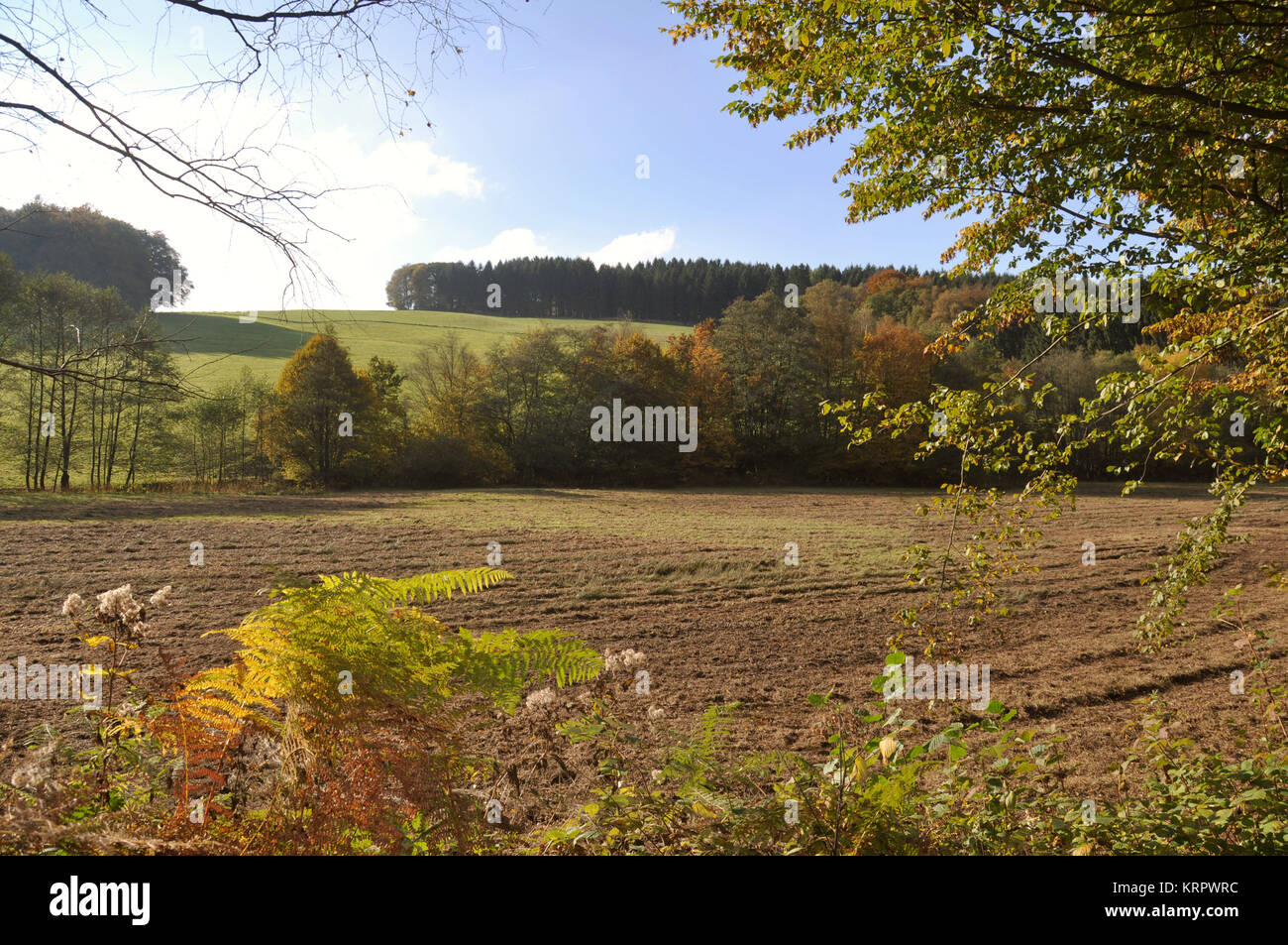 autumn colors in nature Stock Photo - Alamy