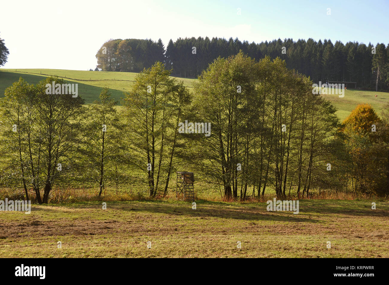 autumn colors in nature Stock Photo - Alamy