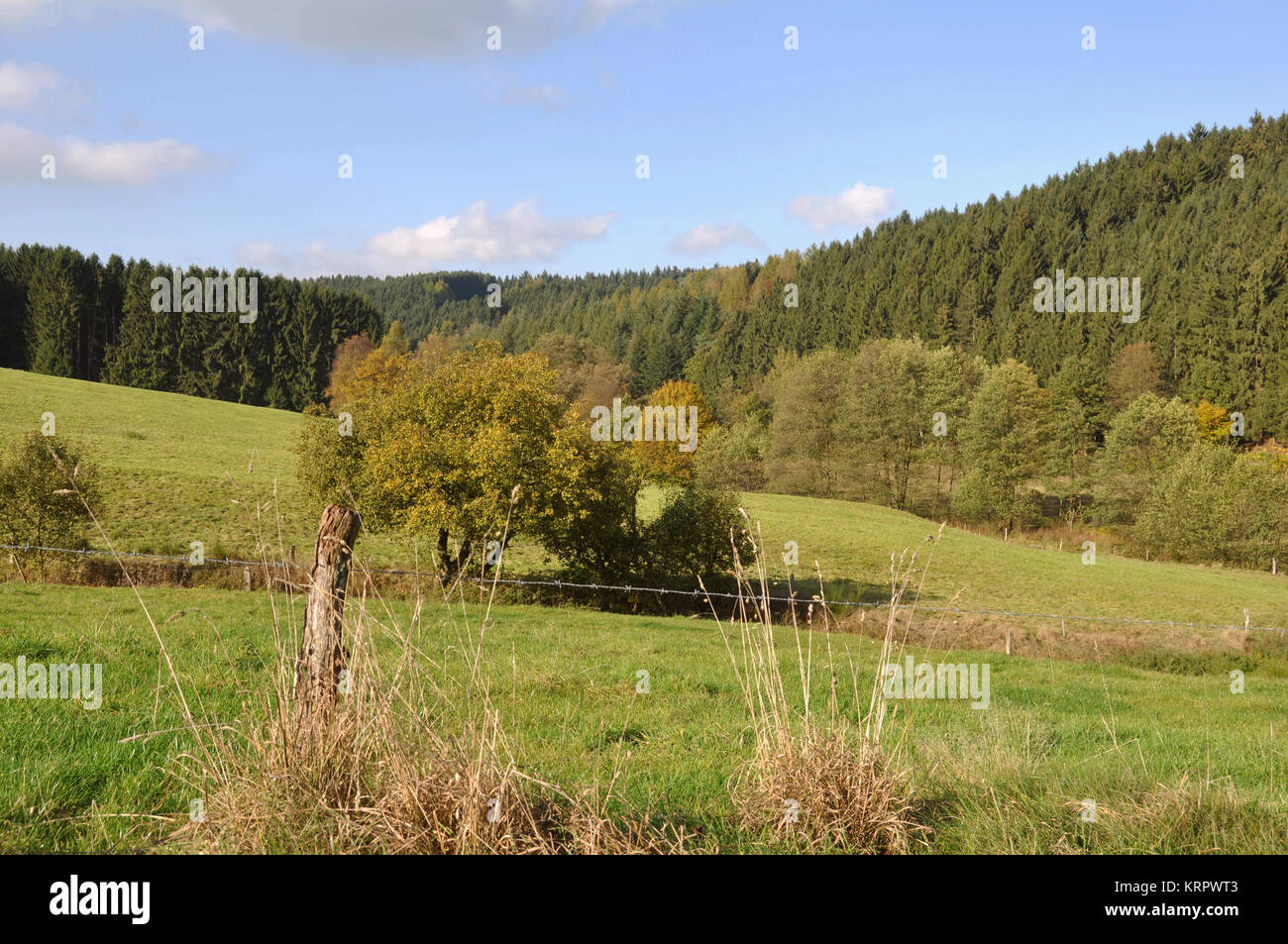 autumn colors in nature Stock Photo - Alamy