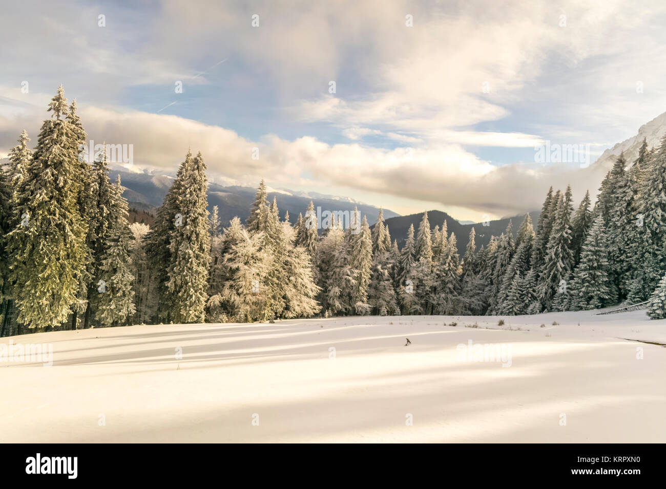 Winter Landscape In The Mountains With Blue Cloudy Sky Stock Photo - Alamy