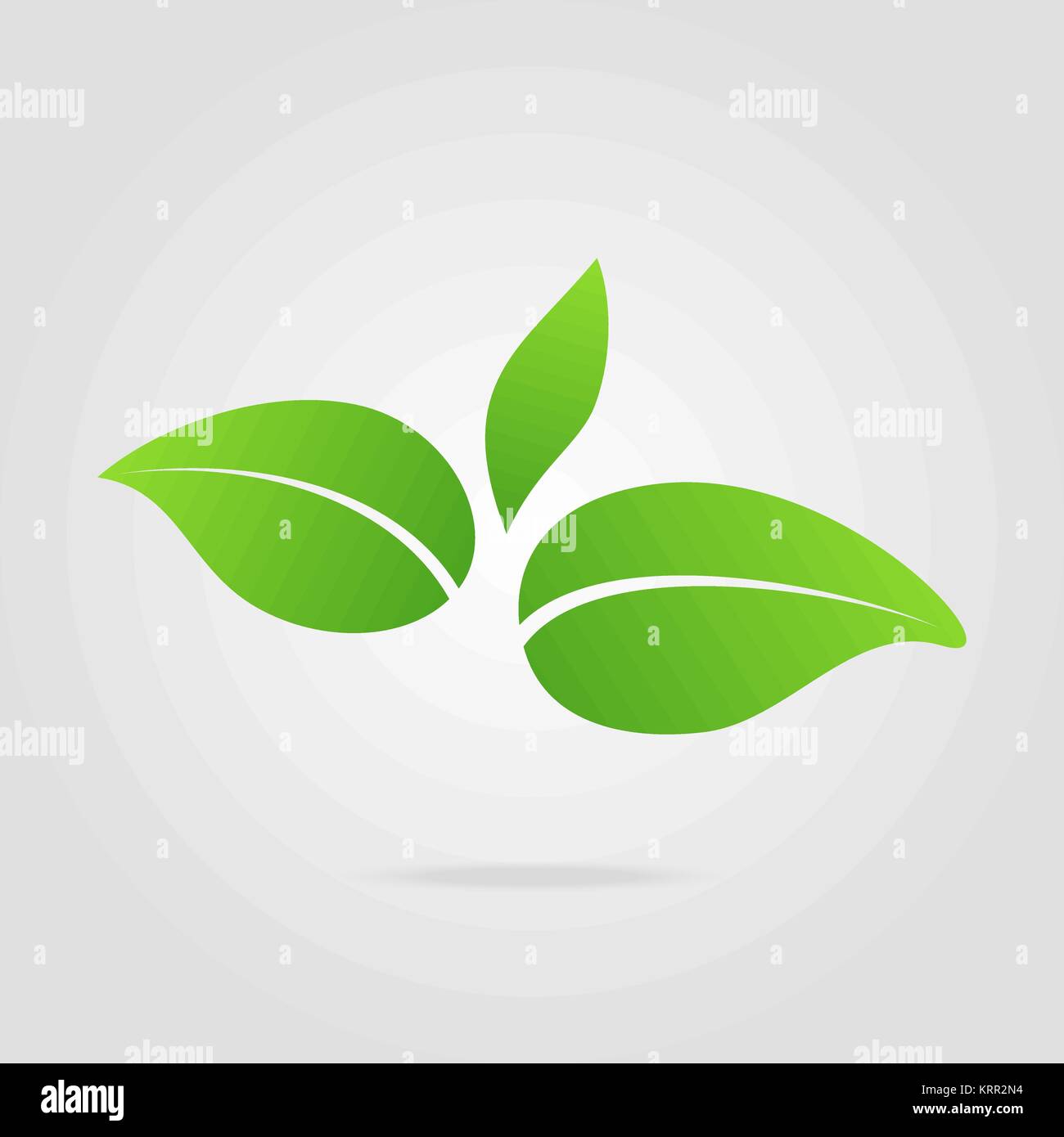 Eco icon green leaf vector illustration isolated Stock Vector Image ...