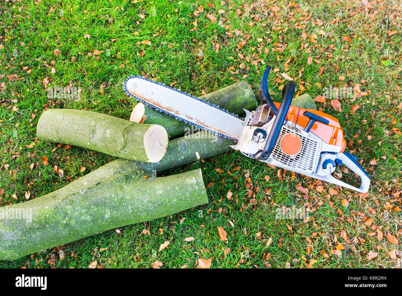 Chain saw with tree trunk or branch on green grass Stock Photo