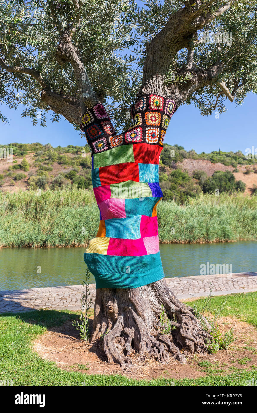 Olive tree trunk dressed in colorful knitted sweater Stock Photo