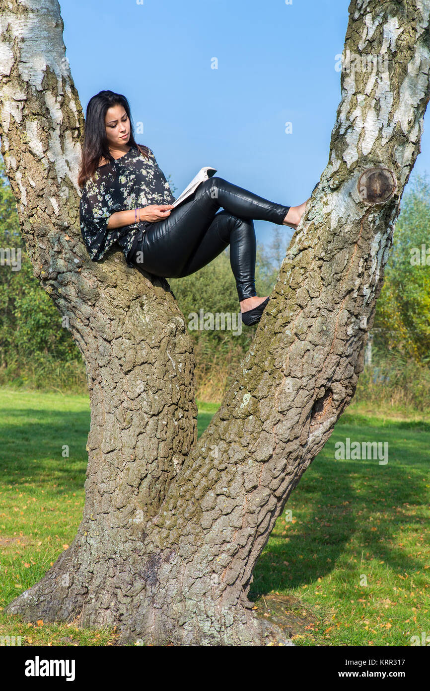 Young woman reading book sitting between tree trunks Stock Photo