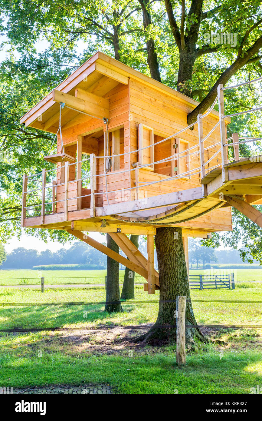 Newly built wooden tree hut in oak trees with meadow Stock Photo Alamy