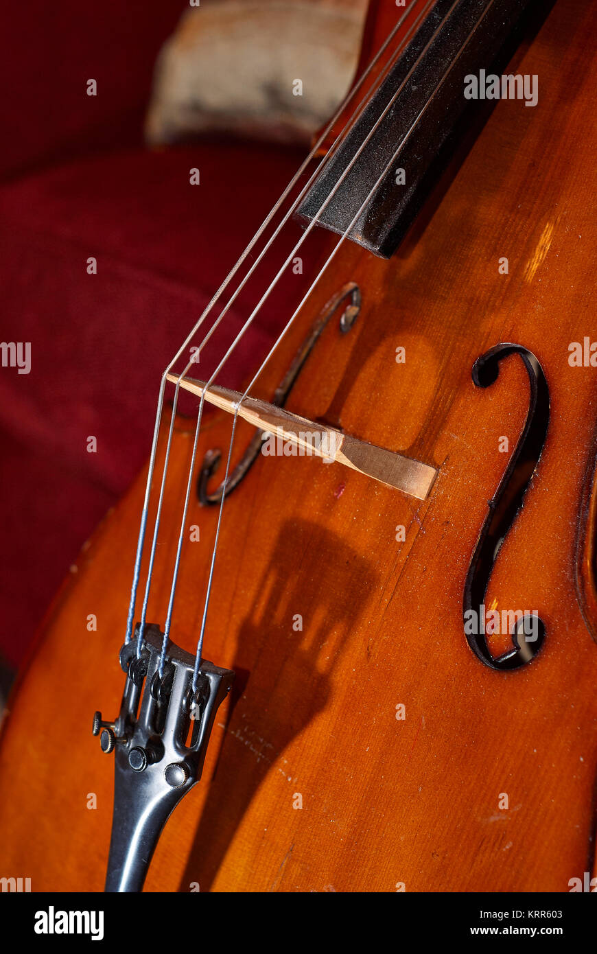 cello closeup with strings and bridge Stock Photo - Alamy