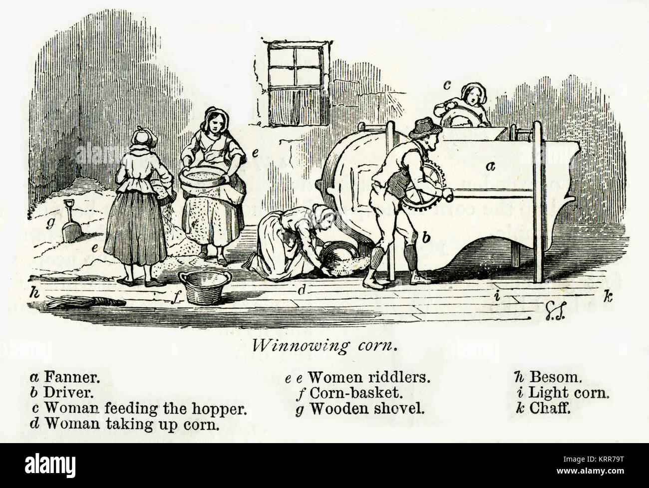 Engraving of women winnowing corn in England using riddlers and a hand-driven machine. From an engraving in The Book of the Farm by Henry Stephens 187 Stock Photo