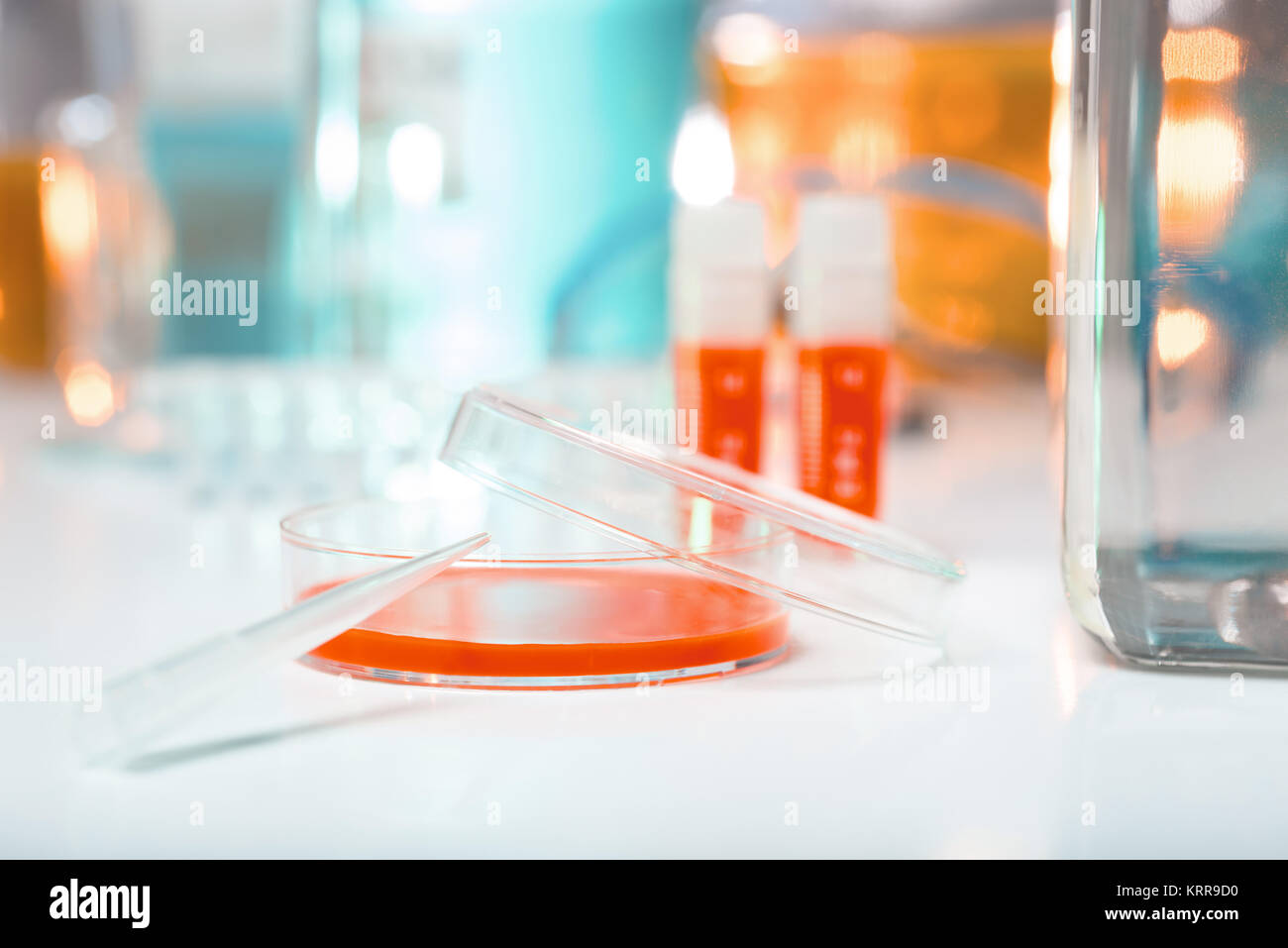 Cell culture sample in sterile hood Stock Photo Alamy