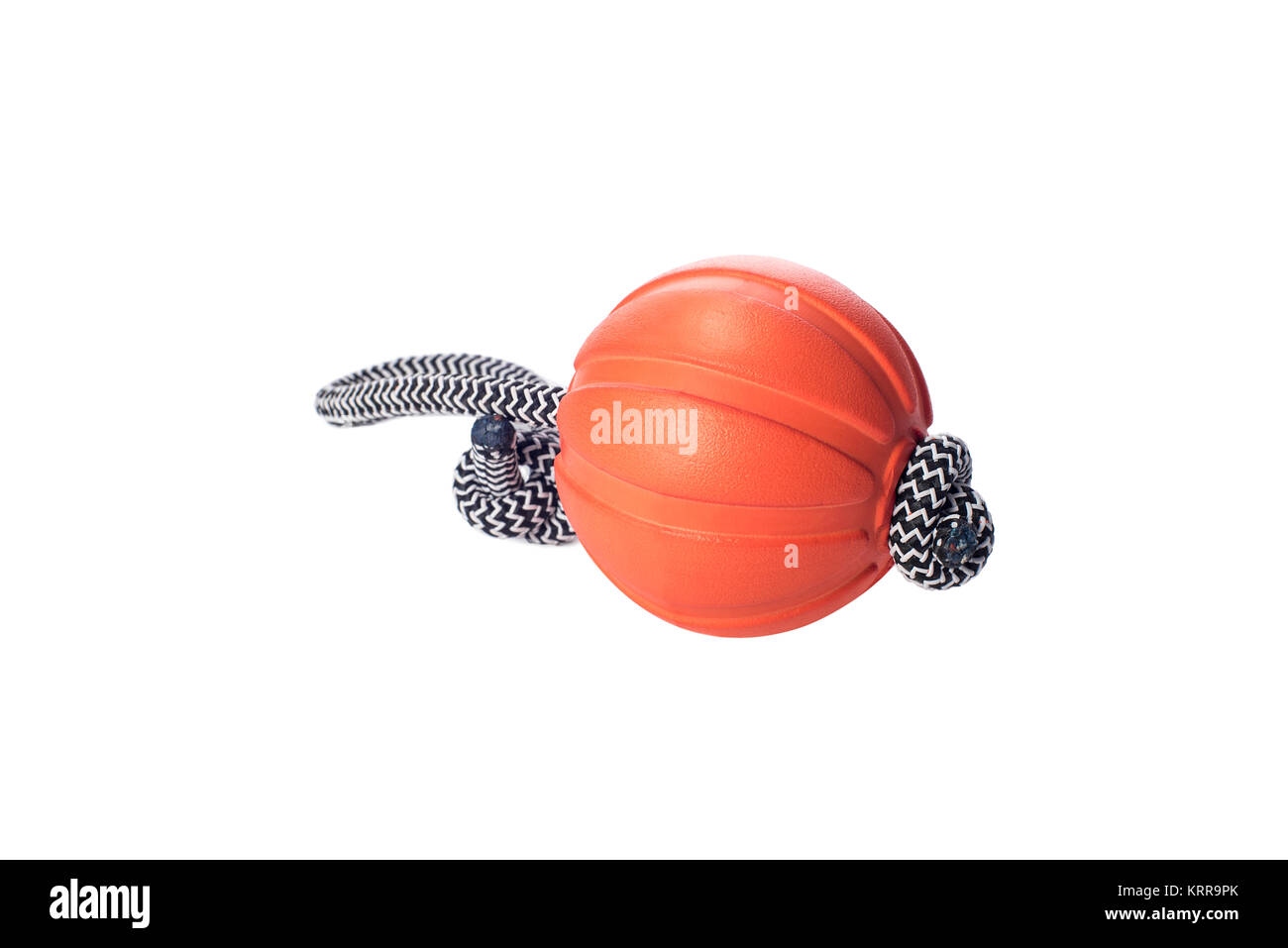 Liker: ball on the cord - toy for dog training and fun, isolated on a white background, pet accessory, pets shop assortment, products Stock Photo