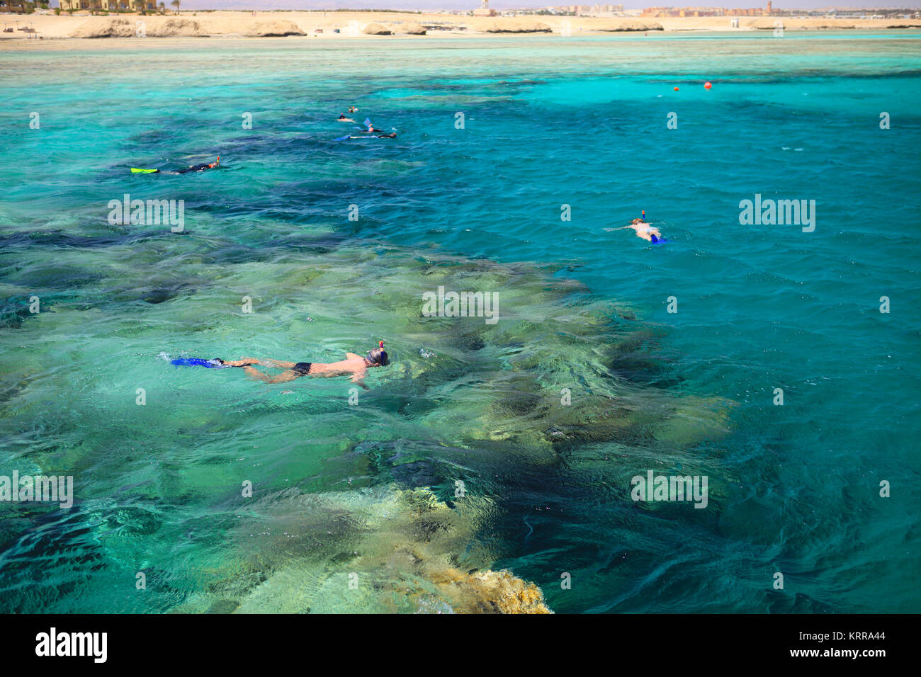 People snorkeling in a beautiful coral reef near Port Ghalib. Marsa Alam, Egypt Stock Photo