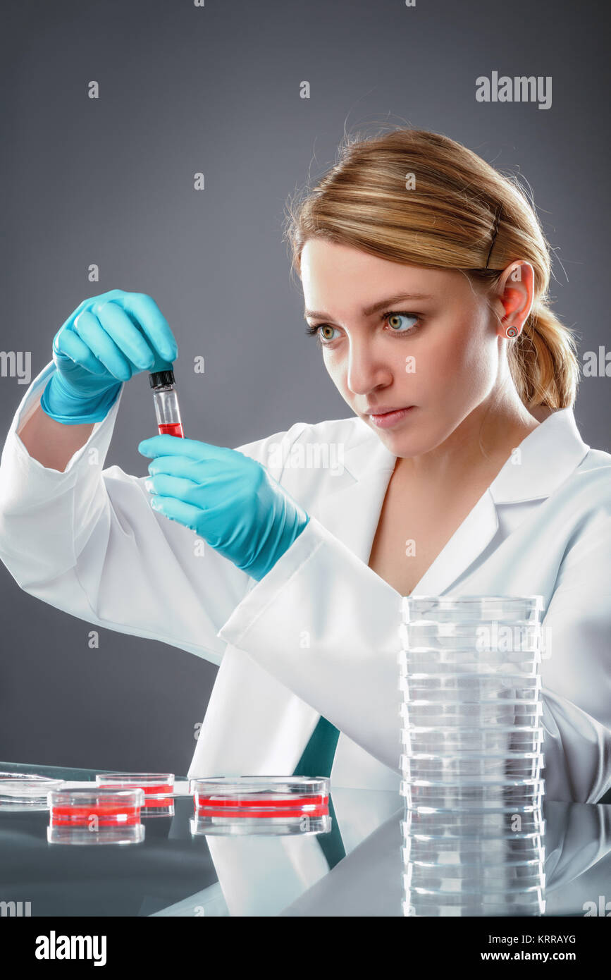 Young European female scientist or tech in white coat and blue gloves works with cultured cells and liquid sample. Stock Photo