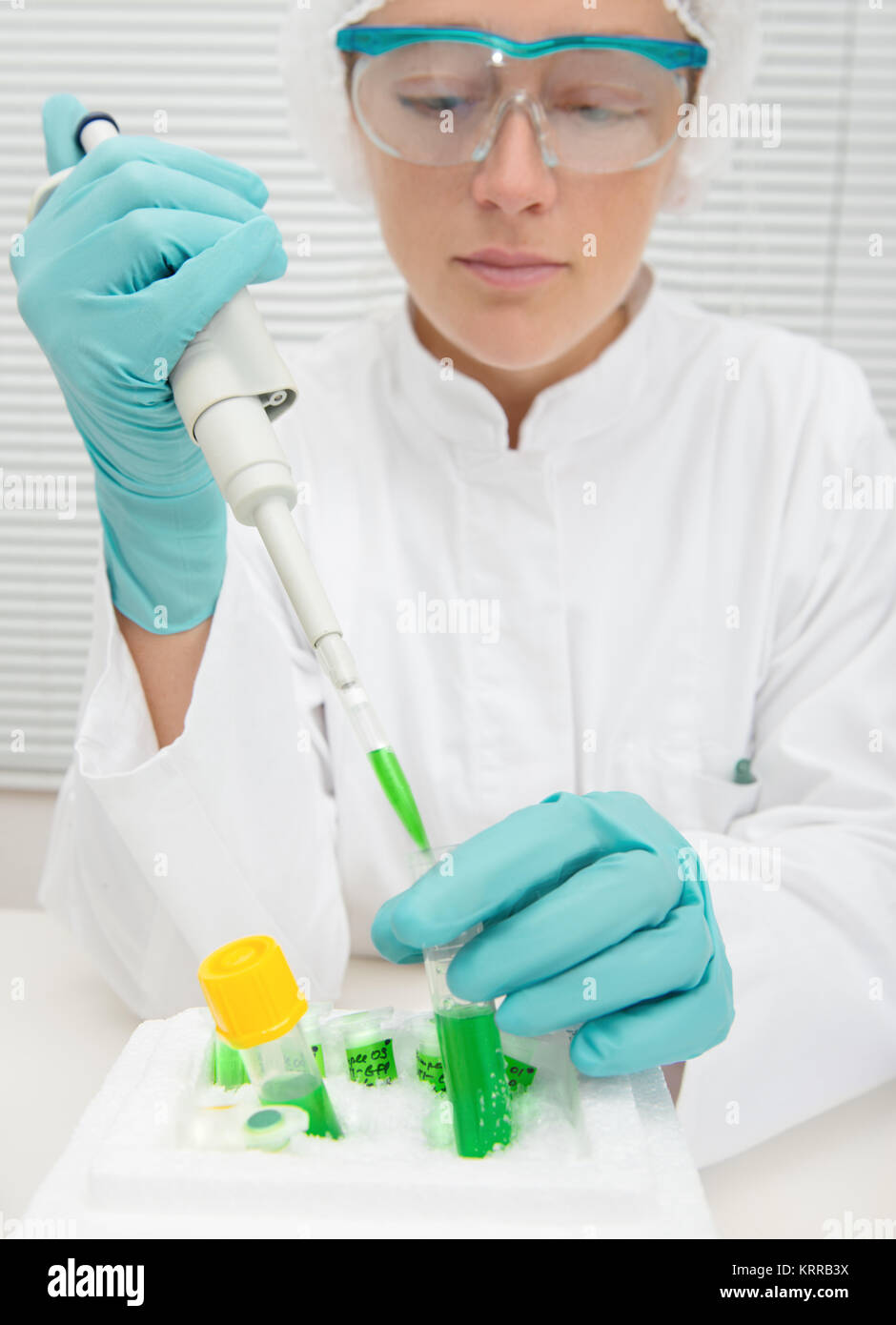 Tech Using Pipette Young female tech or scientist works with automatic pipette Stock Photo ...