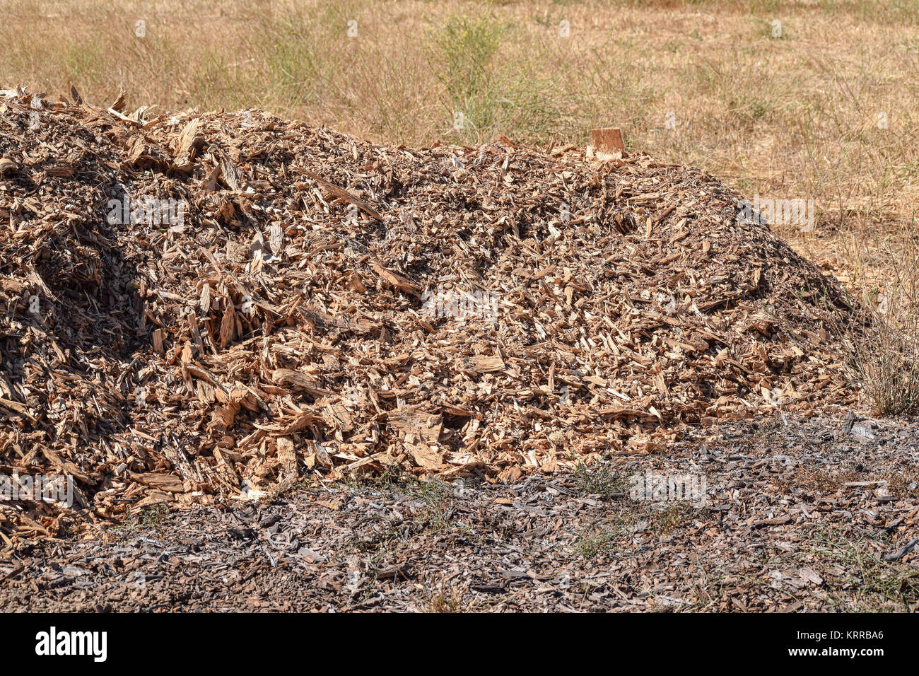 Isolated, close-up of a mulch pile, with bits of wood shavings and some grass, in the background Stock Photo