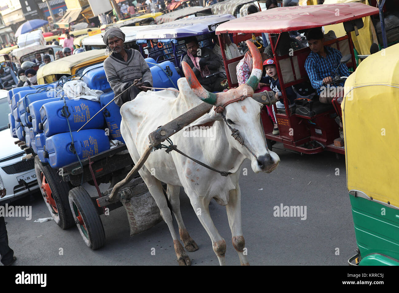 A bullock cart and driver in congested traffic in Chandni Chowk, New Delhi, India Stock Photo