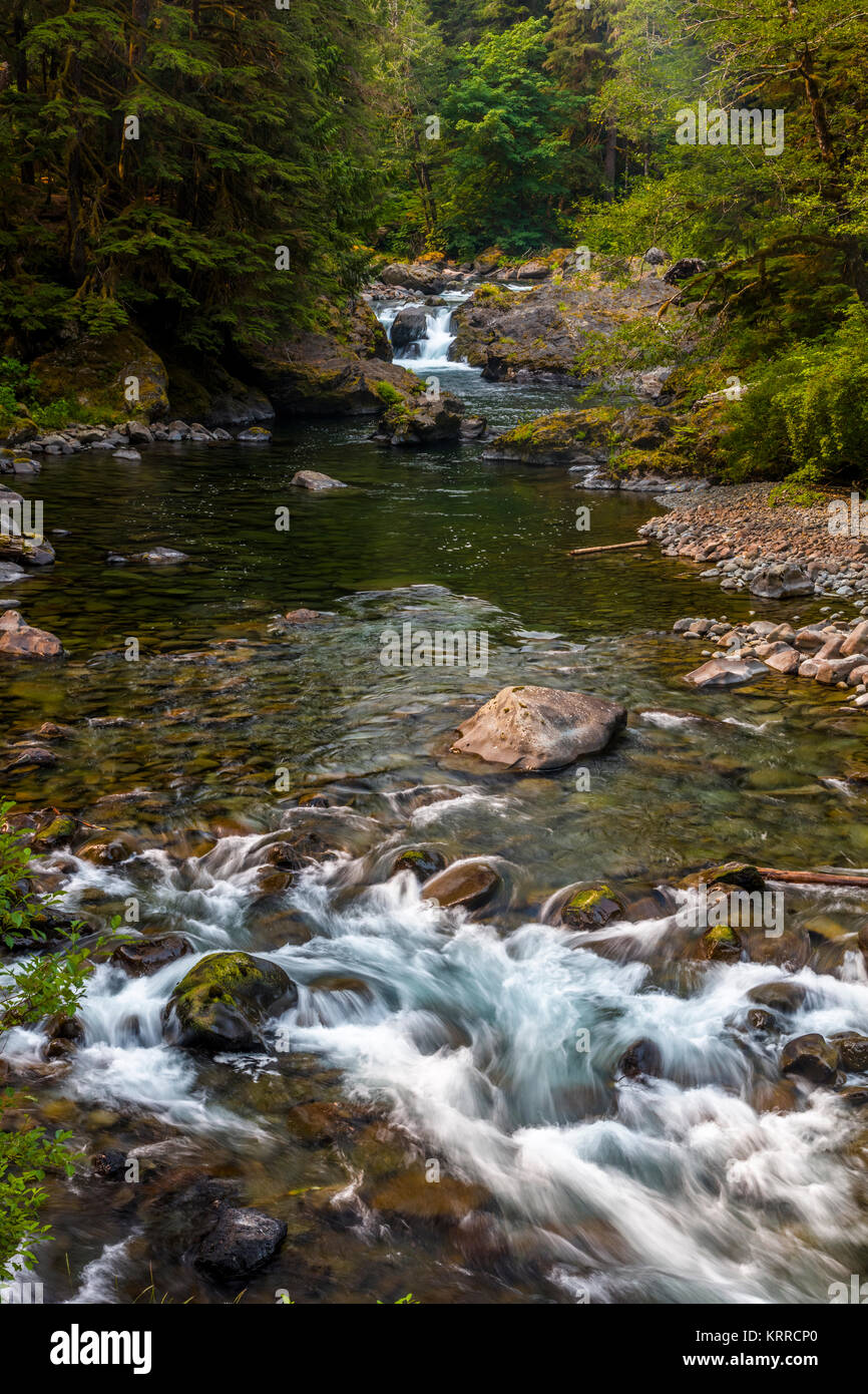Salmon Cascades in the Sol Duc section of Olympic National Park in Washington, United States Stock Photo