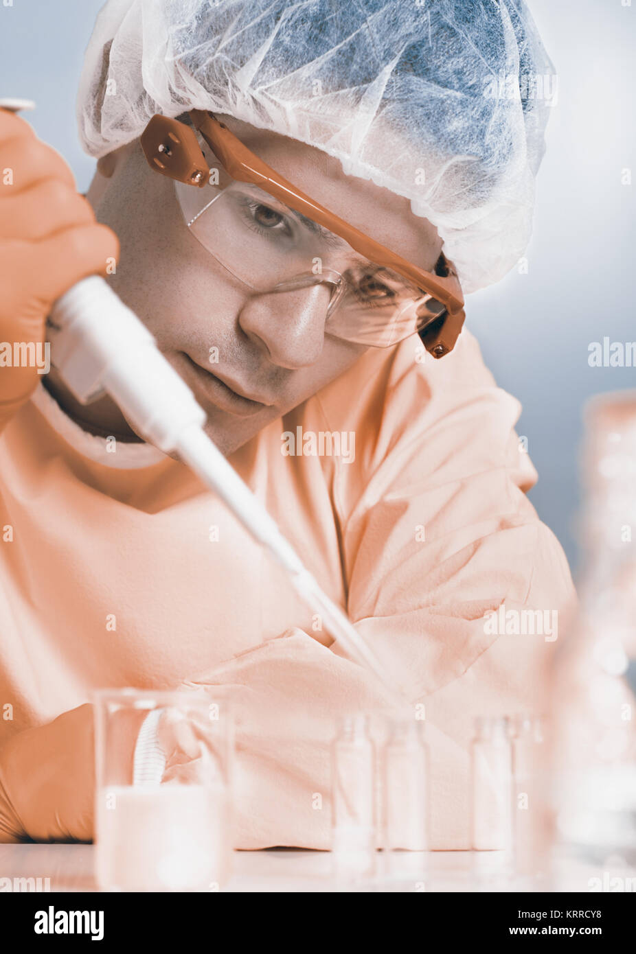 Young microbiologist works with bacterial cultures in the lab, toned image Stock Photo