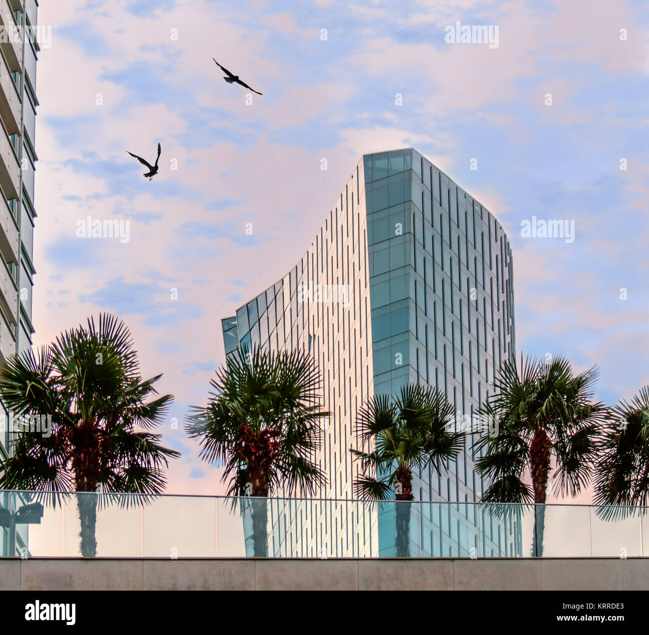 Palm trees modern buildings hi-res stock photography and images - Alamy