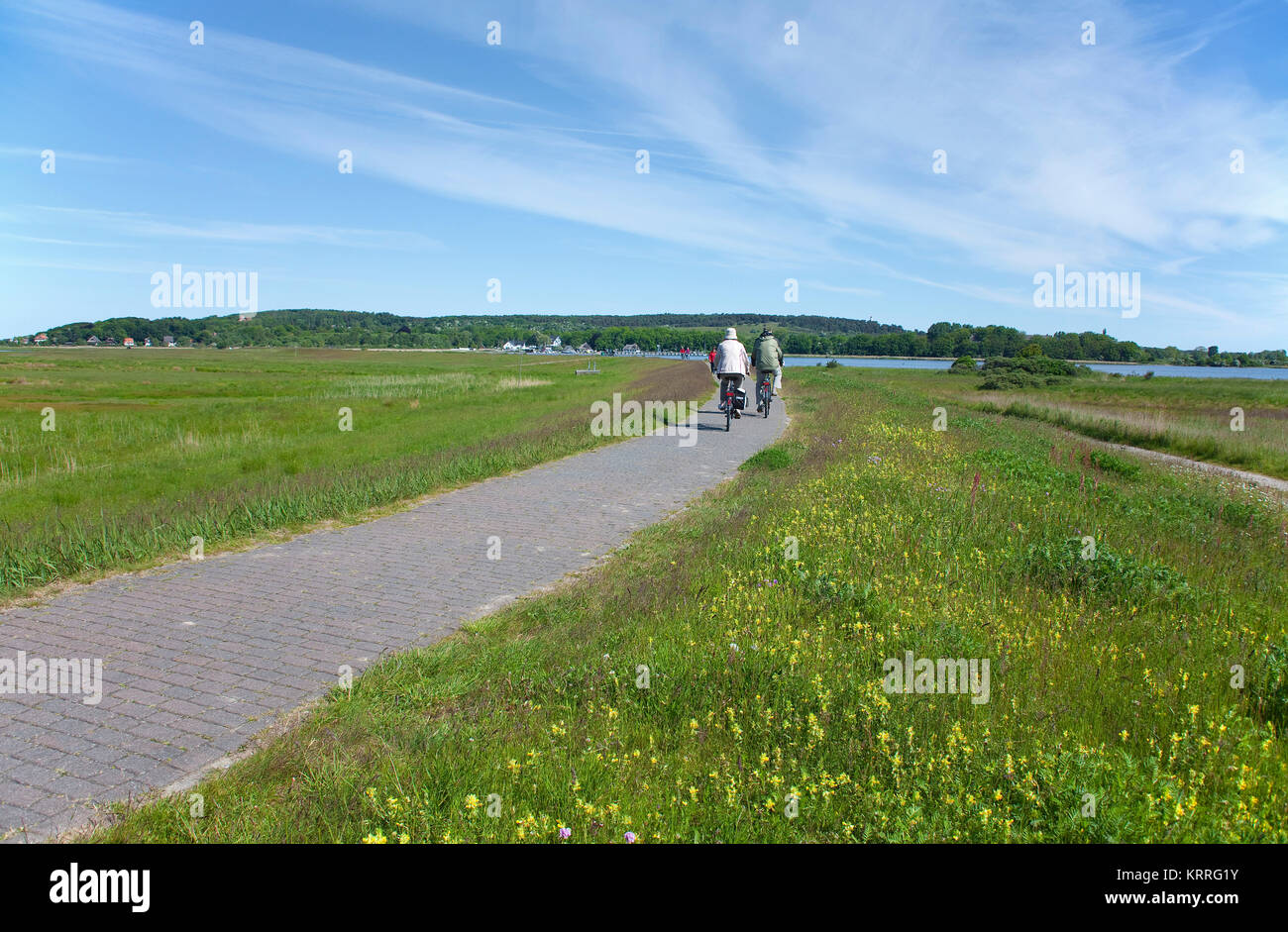 Cyclists on a trail from village Vitte to village Kloster, island Hiddensee, Mecklenburg-Western Pomerania, Baltic Sea, Germany, Europe Stock Photo