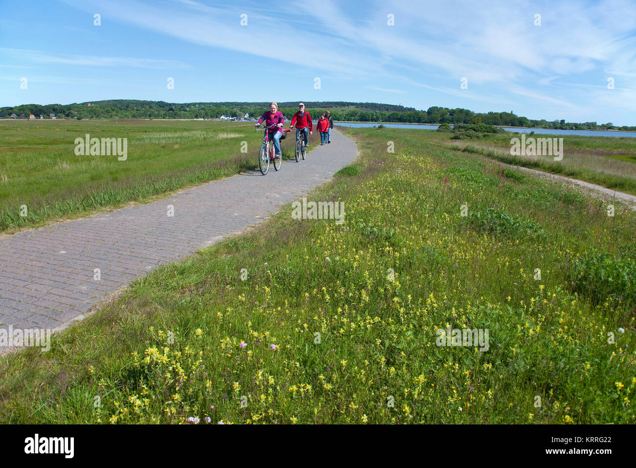Cyclists and hikker on a trail from village Kloster to village Vitte, island Hiddensee, Mecklenburg-Western Pomerania, Baltic Sea, Germany, Europe Stock Photo