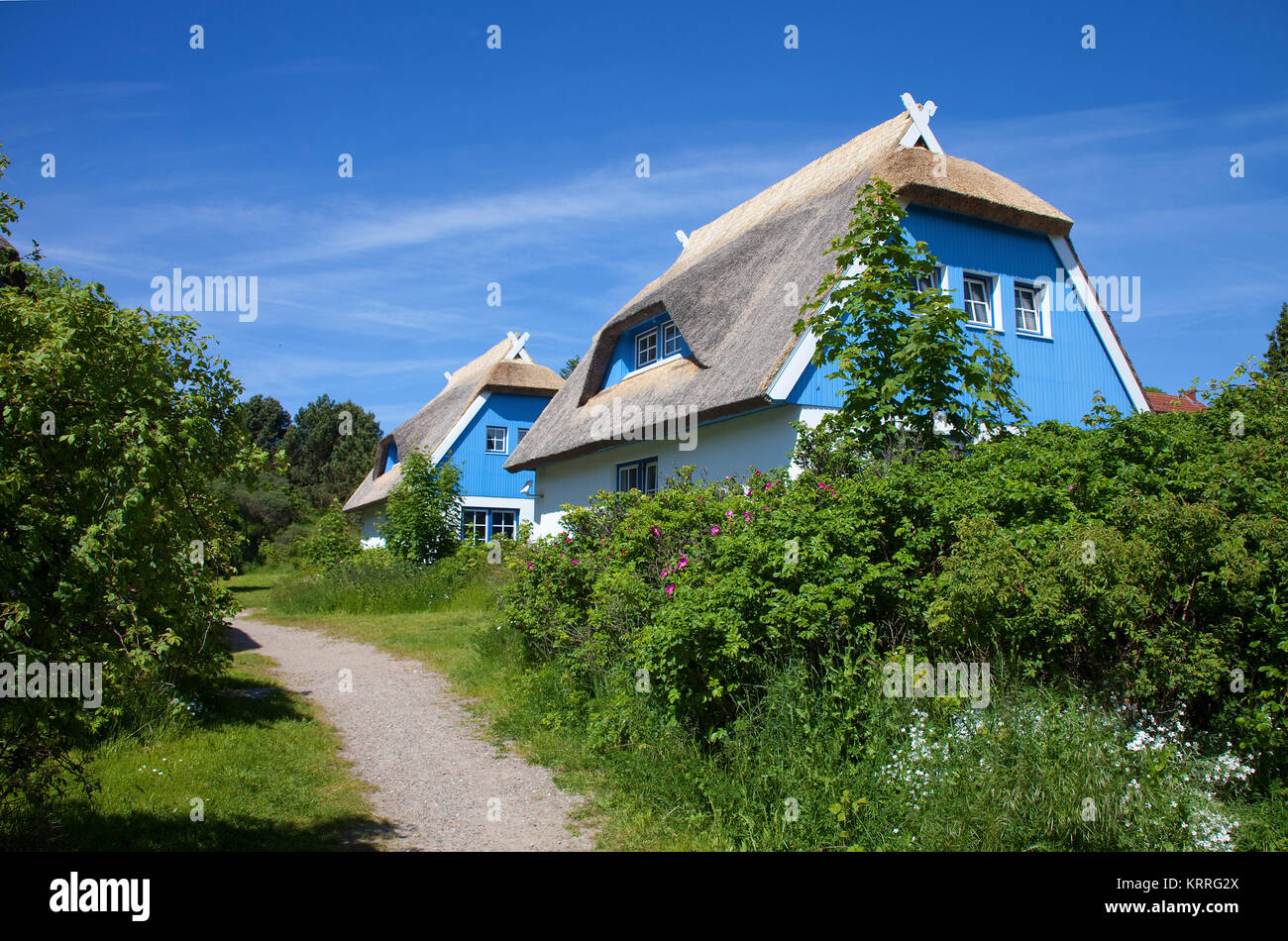 Thatched-roof houses at the village Kloster, island Hiddensee, Mecklenburg-Western Pomerania, Baltic Sea, Germany, Europe Stock Photo