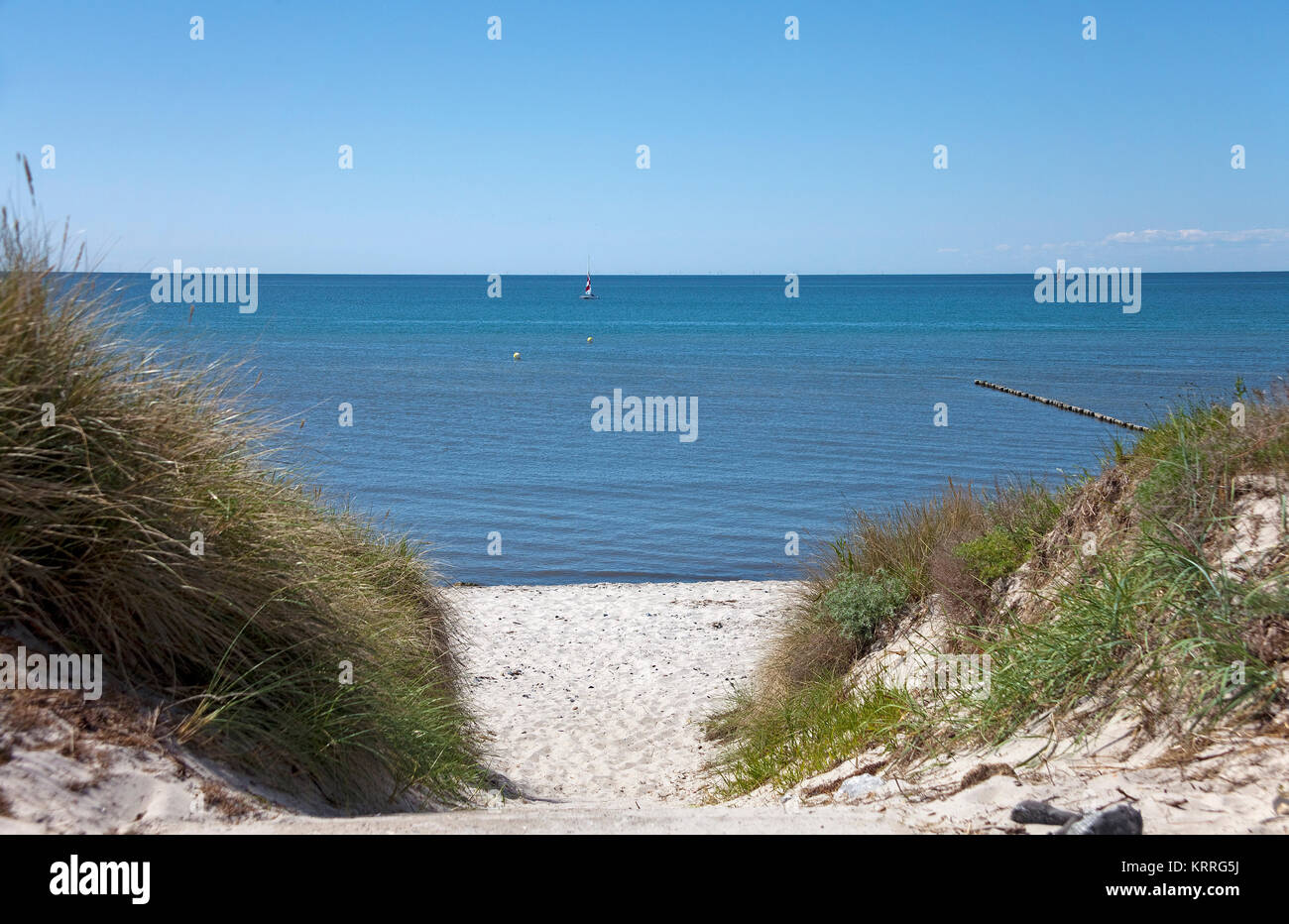 Beach entrance at Vitte, Hiddensee island, Mecklenburg-Western Pomerania, Baltic Sea, Germany, Europe Stock Photo