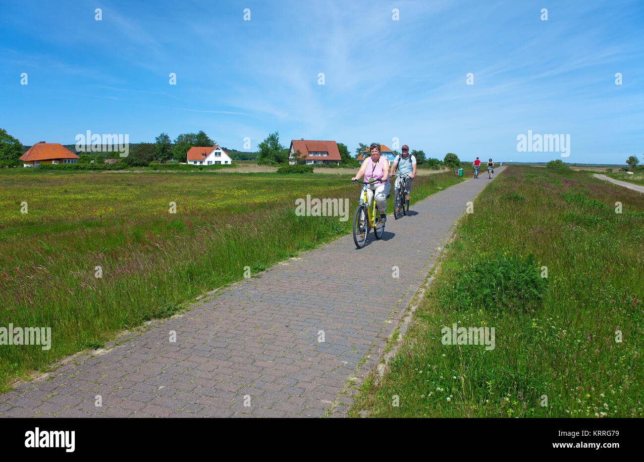 Cyclists on a trail from the village Vitte to the village Kloster, Hiddensee island, Mecklenburg-Western Pomerania, Baltic Sea, Germany, Europe Stock Photo