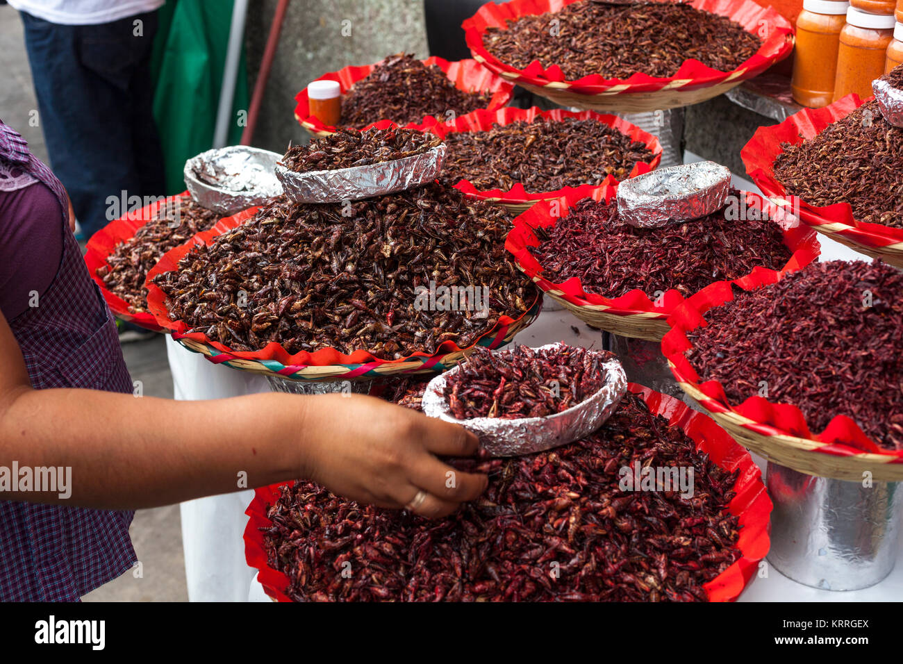 Edible insects hi-res stock photography and images - Alamy