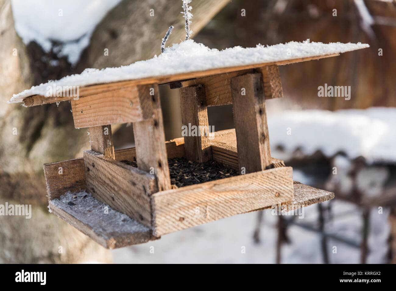Wooden bird feeder with sunflower seeds in winter Stock Photo